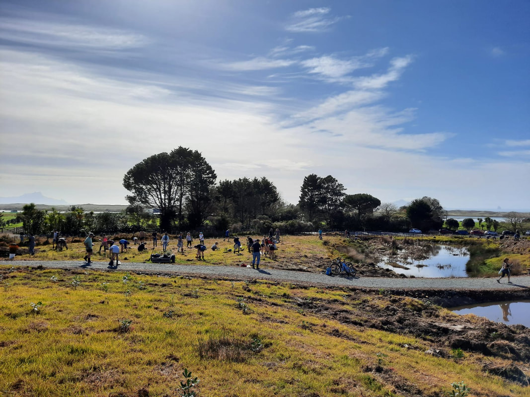 Waipu Cycleway